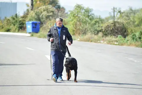 Examen BH Cluj-Napoca