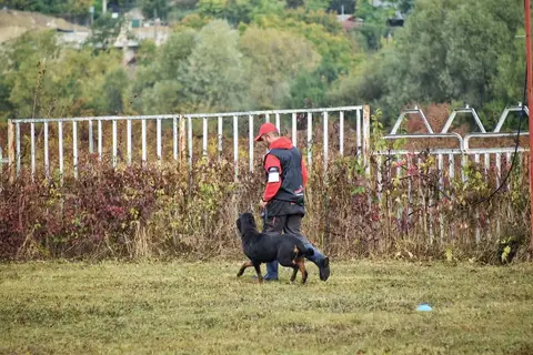 Examen BH Cluj-Napoca