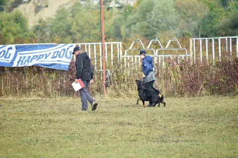 Examen BH Cluj-Napoca