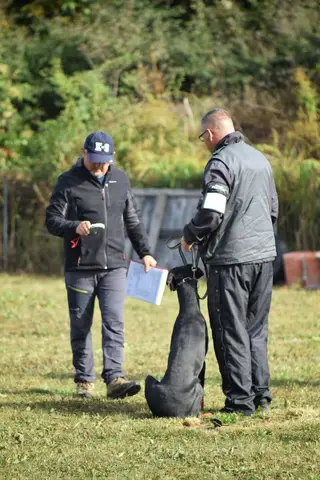 Examen BH Cluj-Napoca