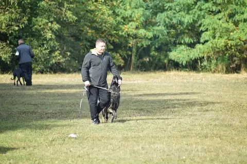 Examen BH Cluj-Napoca