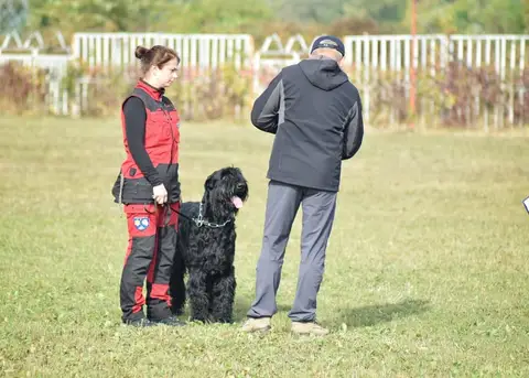 Examen BH Cluj-Napoca