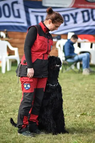 Examen BH Cluj-Napoca