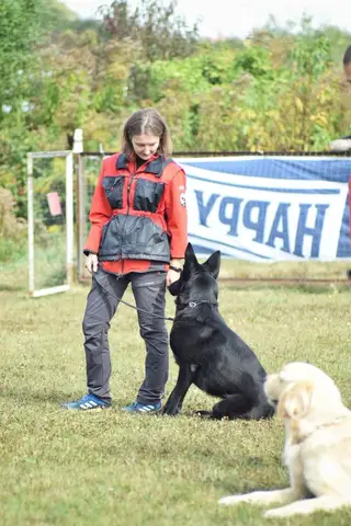 Examen BH Cluj-Napoca