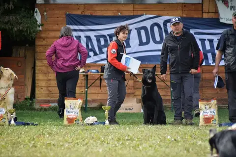 Examen BH Cluj-Napoca