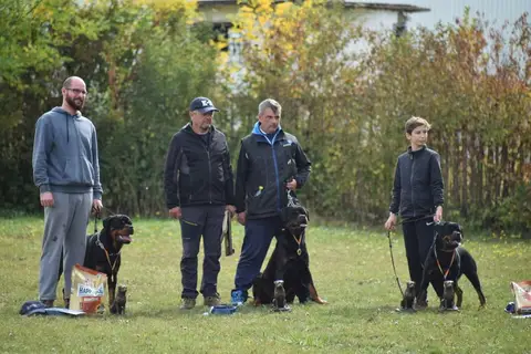 Examen BH Cluj-Napoca