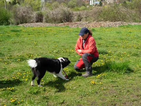Search and Rescue Seminar with Mirka Nečak