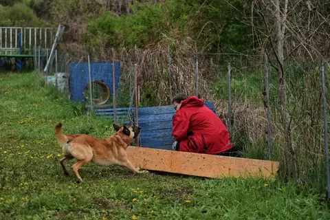 Search and Rescue Seminar with Mirka Nečak