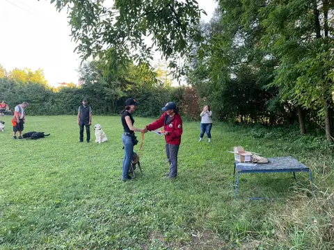Stagiu pregătire câini de salvare CST 2023