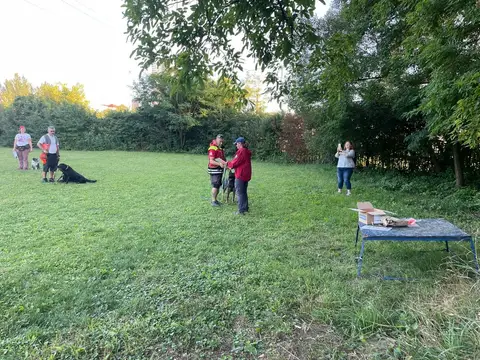 Stagiu pregătire câini de salvare CST 2023