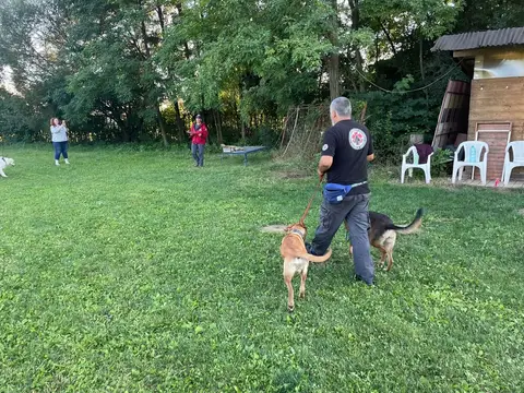 Stagiu pregătire câini de salvare CST 2023