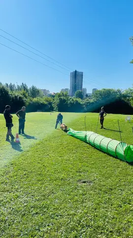Stagiu pregătire câini de salvare CST 2023