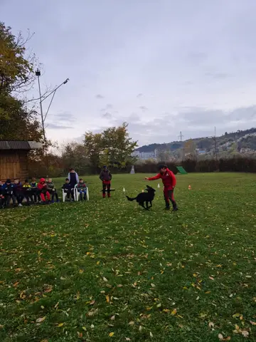 Săptămâna Altfel