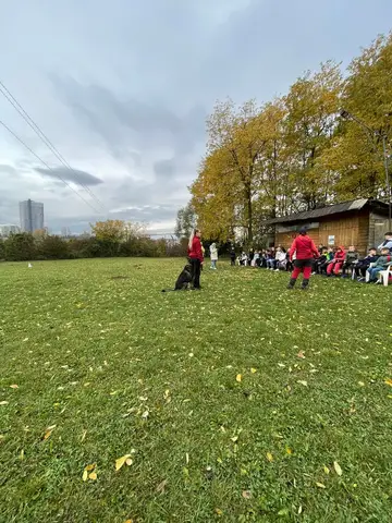 Săptămâna Altfel