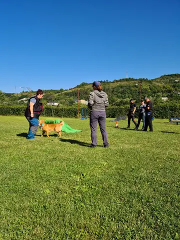 Training sessions 2023