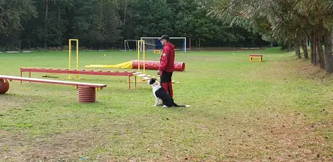 Training sessions 2023