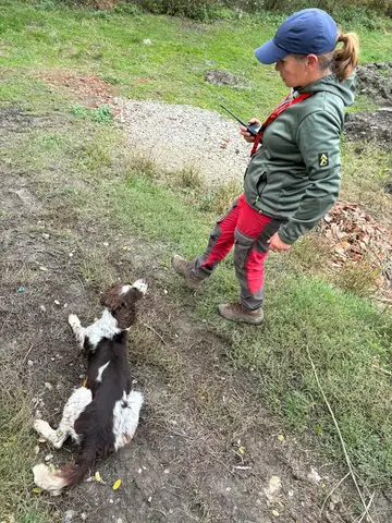 Training sessions 2024