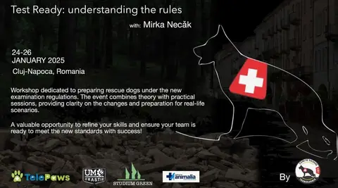 Test ready: understanding the rules, with: Mirka Necak
