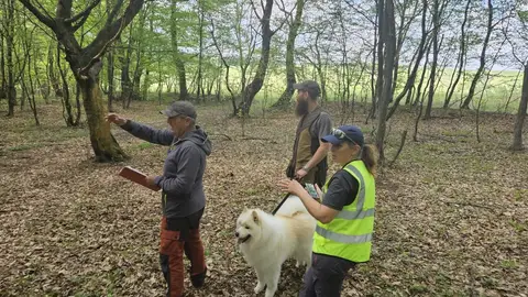 Examen pentru câini de salvare, AChR/FCI, Cluj-Napoca