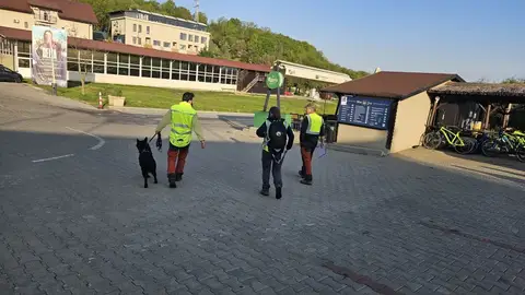 Examen pentru câini de salvare, AChR/FCI, Cluj-Napoca