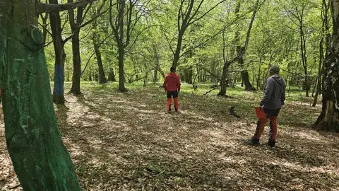 Examen pentru câini de salvare, AChR/FCI, Cluj-Napoca