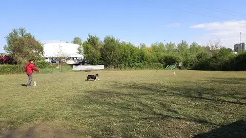 Examen pentru câini de salvare, AChR/FCI, Cluj-Napoca