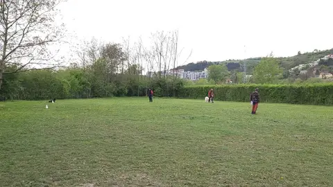 Examen pentru câini de salvare, AChR/FCI, Cluj-Napoca