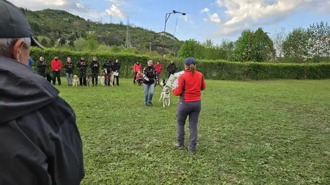 Examen pentru câini de salvare, AChR/FCI, Cluj-Napoca