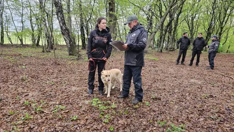 Examen pentru câini de salvare, AChR/FCI, Cluj-Napoca