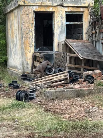 Stagiu național - Orăștie