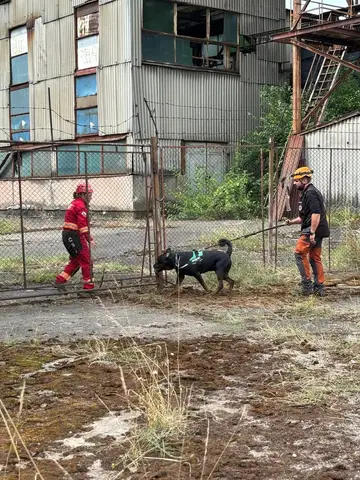 Stagiu național - Orăștie
