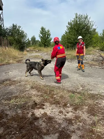 Stagiu național - Orăștie