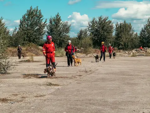 Stagiu național - Orăștie