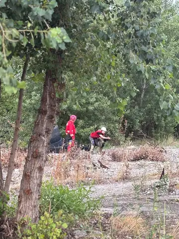 Stagiu național - Orăștie