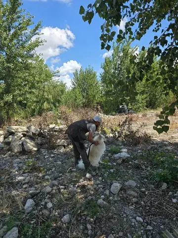 Stagiu național - Orăștie
