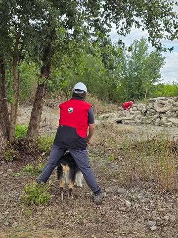 Stagiu național - Orăștie