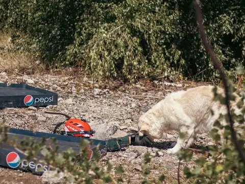 Stagiu național - Orăștie