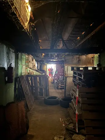 Tabăra internațională pentru câini de salvare Londonka