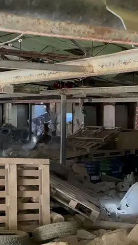 Tabăra internațională pentru câini de salvare Londonka