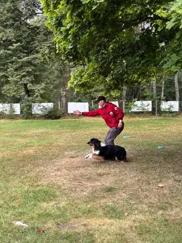 Tabăra internațională pentru câini de salvare Londonka
