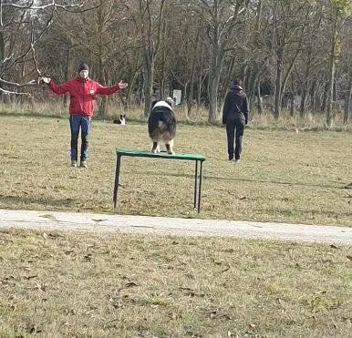 Training sessions 2025