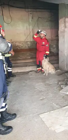 Training sessions 2025