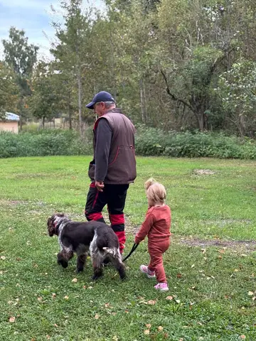 Training sessions 2025
