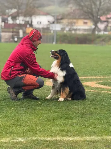 SAR, TSAC, BH Exam, Orăștie