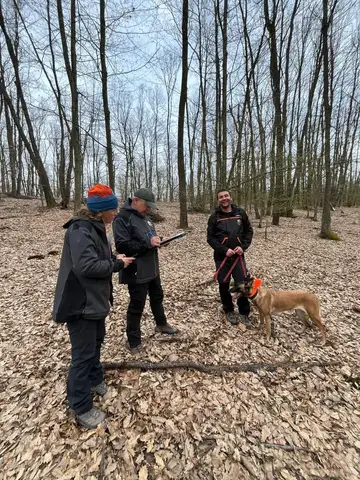 SAR, TSAC, BH Exam, Orăștie