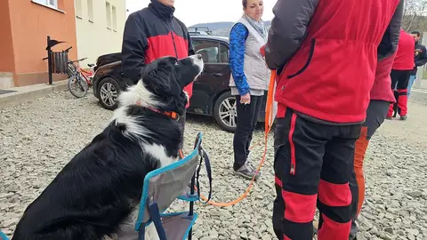 SAR, TSAC, BH Exam, Orăștie