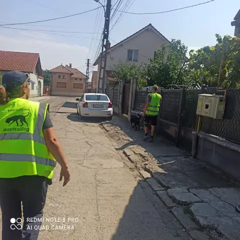National Search and Rescue Dog Camp - Orăștie