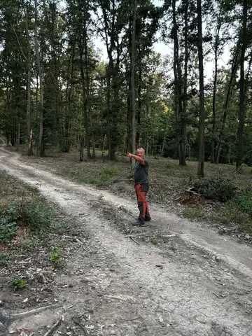 National Search and Rescue Dog Camp - Orăștie