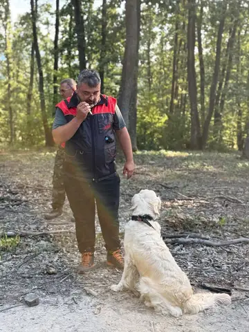 National Search and Rescue Dog Camp - Orăștie