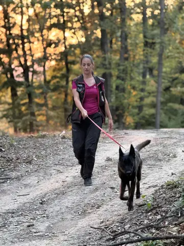 National Search and Rescue Dog Camp - Orăștie
